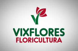 Vixflores Floricultura